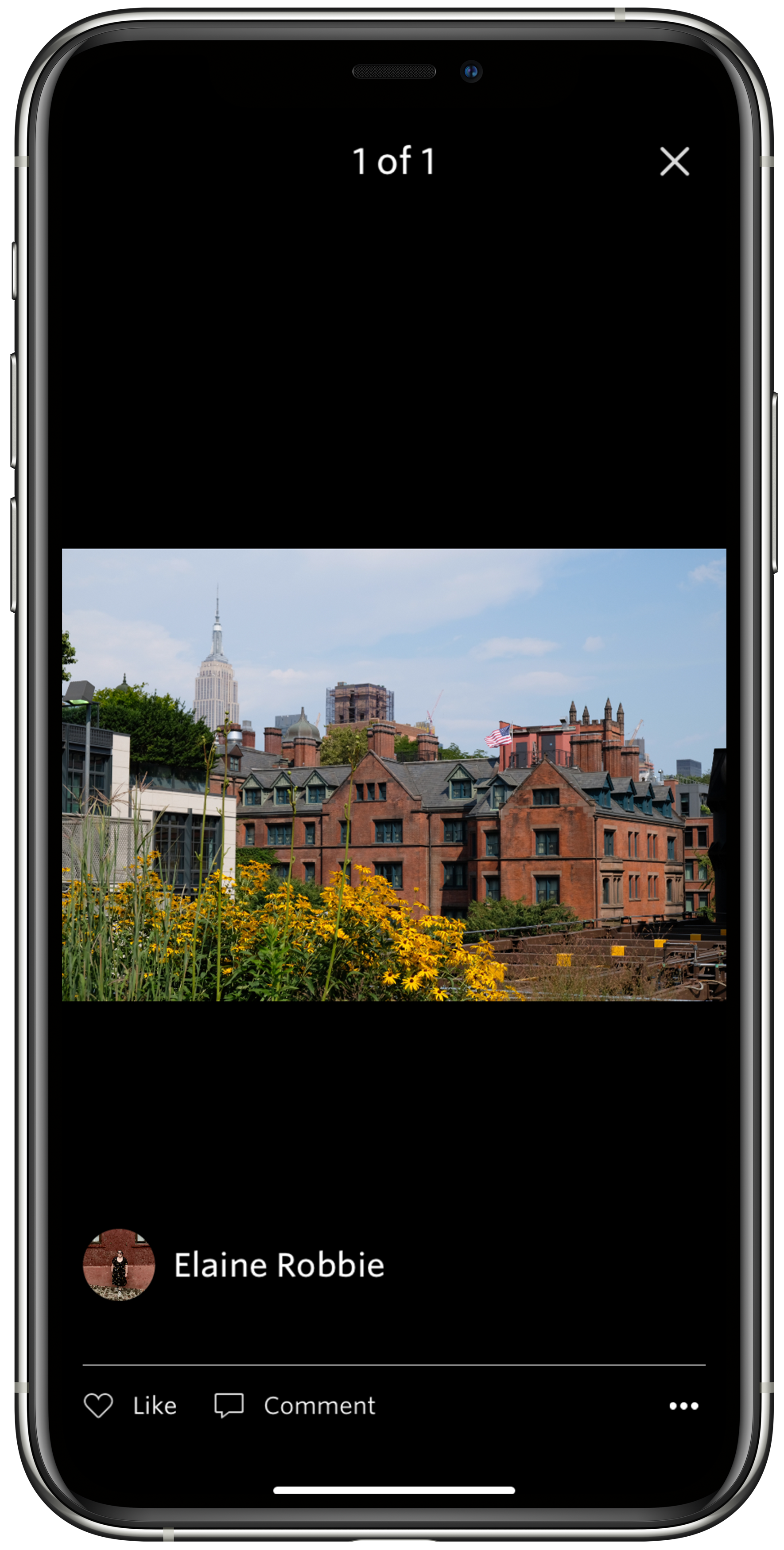 Photo_Album_-_Photo_View.png